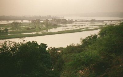 The Process of Heavy Equipment and Oil Machinery Shipping to Niger From Houston and Back