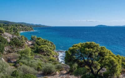 Expert Tips for Shipping Oil and Gas Equipment to Greece Efficiently