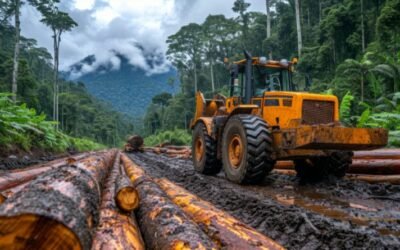 Shipping Forestry Equipment Internationally From Houston