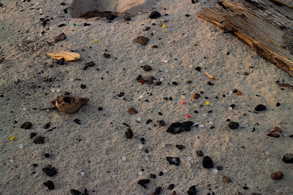 Plastic Pellets (Scharhörn)